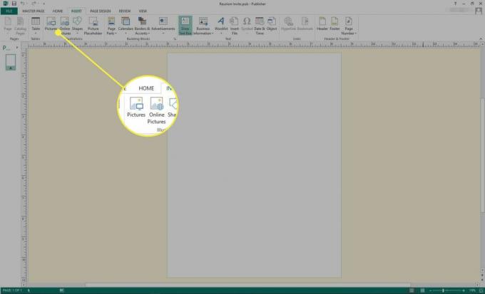 Снимок экрана Microsoft Publisher с выделенными параметрами вставки изображений и изображений в Интернете