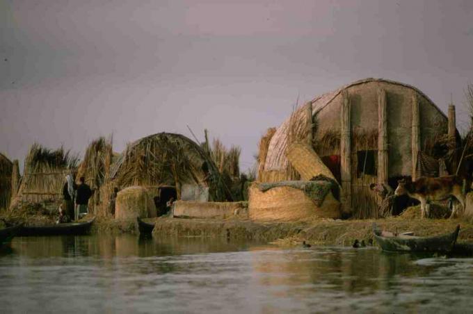 Reed Houses in Marsh Arab Village